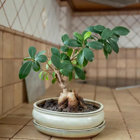 Casa Yaraina 度假居 *